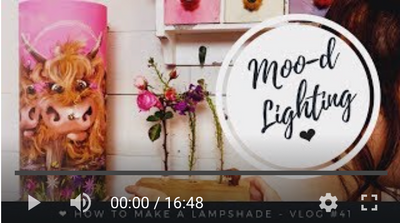 Moo-d Lighting Vlog #41